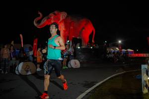 BIB: 
                            <button type="button" onclick="openModal(26551887)" class="btn btn-primary btn-sm float-right btn-popup" data-toggle="modal" data-target=".modal-high-quality">
                        <i class="fas fa-shopping-cart"></i> Add to Cart
                    </button>
                                            <button type="button" onclick="isThisMe(26551887, true)" class="btn btn-success btn-sm float-right btn-popup btn-isme hidden" data-toggle="tooltip" data-placement="bottom" title="นี่คือรูปของคุณใช่ไหม คลิกที่นี่เพื่อเอาเข้าอัลบั้ม">
                        <i class="fas fa-plus"></i> Add to album
                    </button>
                    <button type="button" onclick="isThisMe(26551887, false)" class="btn btn-warning btn-sm float-right btn-popup btn-isnotme hidden">
                        <i class="fas fa-ban"></i> Remove from album
                    </button>